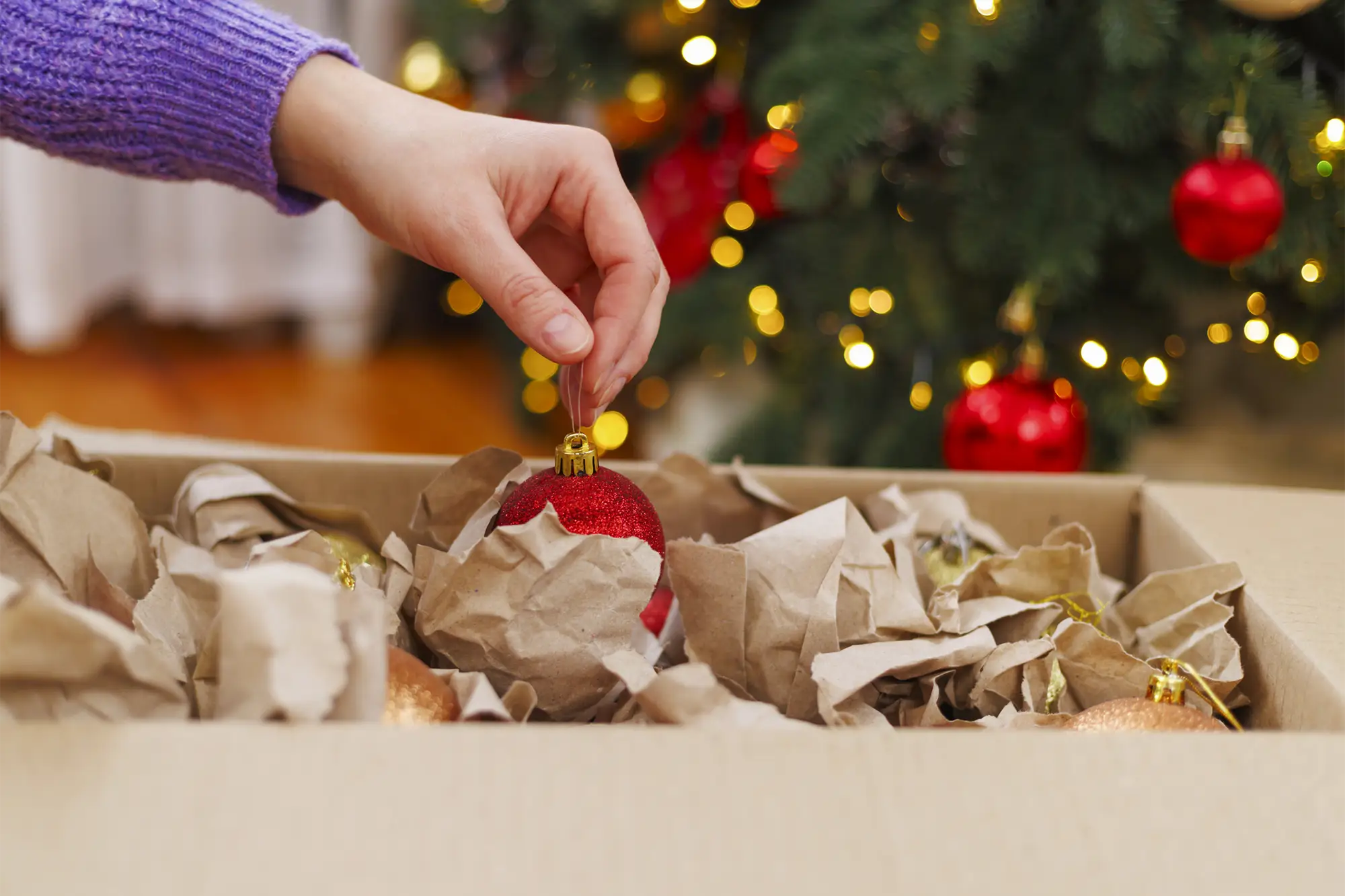 Mastering Holiday Storage- Tips for Organizing and Safeguarding Your Seasonal Treasures- Tips for Organizing and Safeguarding Your Seasonal Treasures